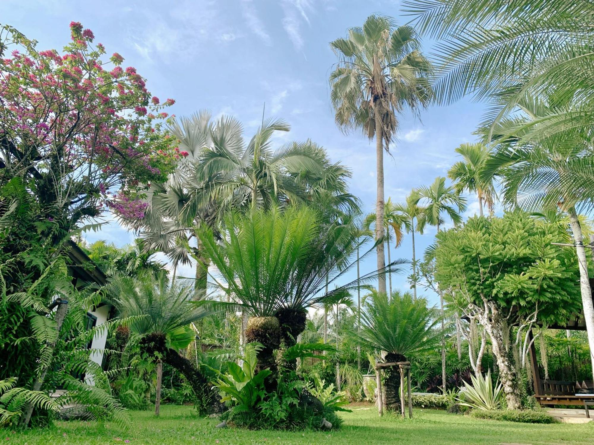 Villa Baan Pinya Balinese Style Pool Krabi